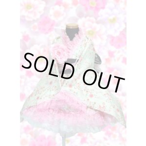画像: ＜110〜130サイズ＞着物ドレスセット：満開桜（白）